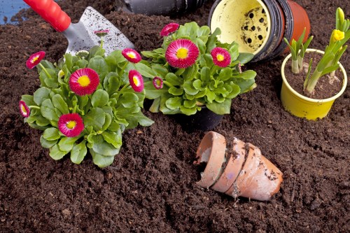 A garden bed with rich, dark soil features two thriving primula plants with bright red and yellow flowers and lush green leaves, positioned near the top left of the image. To the right, a small yellow flower pot contains emerging green shoots, possibly daffodil or tulip bulbs, with the wider garden space visible in the background. A partially buried terracotta plant pot lies on its side in the soil, suggesting recent planting or repositioning. In the top section, gardening tools—including a shrubby watering can with a yellow and black design—are visible, indicating ongoing garden care activities. The scene appears to be outdoors in a residential garden, well-lit by natural daylight, capturing a neat, cultivated environment suitable for tailored lawn and garden maintenance services by Landscapers Chiswick, serving the local Chiswick area postcodes and surrounding London districts.
