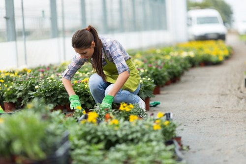 Landscapers sorting green waste and recyclables at a Chiswick site