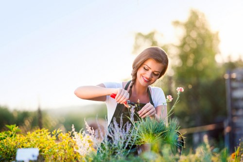 Professional tree lopping service in Chiswick