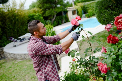 Professional landscapers working in a Chiswick garden