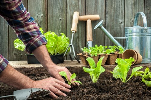 A close-up view of a person planting young lettuce seedlings in freshly turned dark soil in a garden bed, with a wooden fence in the background. The gardener's hands, wearing a checked shirt sleeve, carefully position the plants in the soil. Surrounding the planting area are gardening tools including a hand trowel, a watering can, and small plant pots filled with green leafy plants. The scene depicts a well-maintained outdoor garden space, with the bed framed by weathered wooden fencing, and the preparation and planting process captured under natural daylight, suggesting suitable weather conditions for gardening in Chiswick. The layout shows a neat, cultivated vegetable patch with healthy plants ready to grow, emphasizing organic cultivation and outdoor garden care services offered by Landscapers Chiswick, appropriate for residential back gardens in the local area. The natural tones of brown soil and vibrant green leaves highlight a productive and inviting outdoor environment dedicated to garden planting and maintenance activities.