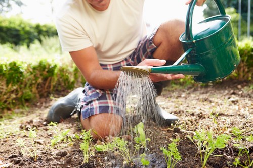 A person wearing a beige T-shirt and checked shorts is kneeling in a garden bed, watering young green plants with a green watering can. The garden features a neatly maintained lawn in the foreground, with the soil bed containing small, evenly spaced seedlings or young plants. In the background, there are bushes and a variety of mature trees, suggesting a well-established outdoor space. The scene is during daylight hours, with natural sunlight illuminating the garden, creating shadows and natural tones across the soil, plants, and surrounding greenery. This setting demonstrates typical garden maintenance activities, aligning with landscaping and outdoor care services offered by companies like Landscapers Chiswick, which specialise in gardening and grounds management within the local area.