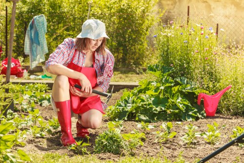 A woman gardening in a well-maintained outdoor garden space, kneeling on the soil while tending to young vegetable plants. She is dressed in a white sun hat, a pink and white plaid shirt, a red apron, and bright red rubber boots. The garden includes neat rows of leafy green vegetables, surrounded by a natural soil bed with some patches of mulch. In the background, there are flowering plants with purple and pink blooms, along with lush green trees and bushes, indicating a sunny and warm day typical of gardens in Chiswick within West London. Gardening tools such as a small handheld rake or trowel are visible, and a pink watering can is placed nearby on the ground, designed for easy access. The scene emphasizes a cultivated and vibrant outdoor space suitable for garden maintenance services like those offered by Landscapers Chiswick, with a focus on planting, lawn care, and garden organization, reflecting the natural beauty and variety of a UK backyard or front garden in the area.