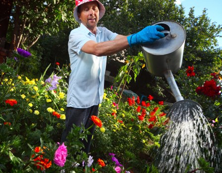 A man wearing a red hat, light blue shirt, and blue gardening gloves is standing in a lush garden during daylight hours, watering vibrant flowers and plants with a silver watering can. The garden features a variety of colorful blooms including red, pink, purple, and yellow flowers, along with dense green foliage and shrubbery. In the background, there are trees and a clear blue sky, suggesting a well-maintained outdoor space typical of a residential garden in Chiswick. The lawn area nearby appears healthy and grass is lush, with some sections showing natural soil and paving stones bordering flower beds. This scene highlights typical gardening activities and garden elements that landscapers like Landscapers Chiswick may service, such as plant care, watering, and general outdoor maintenance, reflecting the natural beauty and landscaping potential of the area.