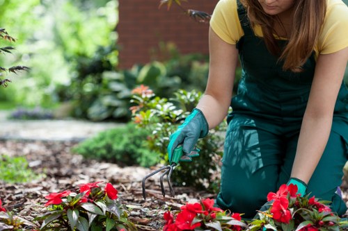 Beautiful landscaped garden in Chiswick with vibrant flowers and greenery