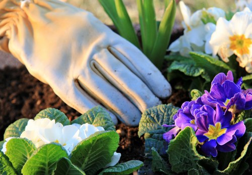 Chiswick lawn care professionals at work