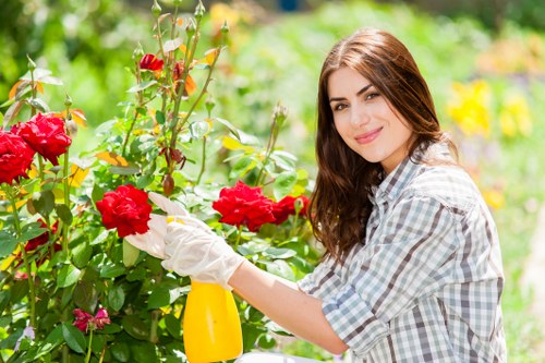 A young woman with long brown hair, wearing a grey and white checkered shirt, is tending to red roses in a well-maintained garden. She is holding a yellow spray bottle and appears to be pruning or inspecting the flowering plants. The garden features lush green foliage, with a neatly trimmed hedge in the background and a vibrant mix of flowering plants. The lawn area is visible in the foreground, with healthy, green grass and some patches of soil around the plant beds. Sunlight filters through the trees, illuminating the scene with natural daylight, indicating good weather and outdoor conditions suitable for gardening. This outdoor space is part of a landscaped garden typical of residential properties in Chiswick, aligning with professional gardening services offered by Landscapers Chiswick. The setting demonstrates a tidy, inviting backyard garden with flower beds, lawn, and decorative plantings, providing an ideal environment for ongoing garden care and maintenance services in the local area.
