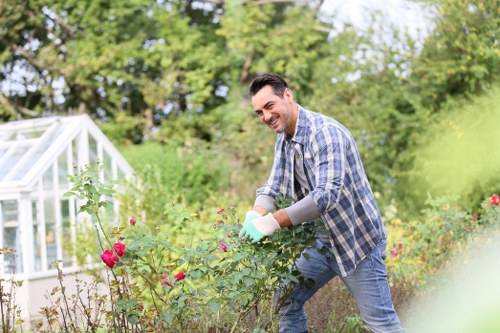 A man in casual clothing, wearing a checkered shirt and jeans, is tending to a garden in an outdoor space that features a variety of plants and flowers, including rose bushes with pink blossoms in the foreground. The garden has neatly maintained flower beds and a green lawn area, with a background of lush, leafy trees and a greenhouse structure with a white frame and transparent panels. The scene appears to be set on a bright, clear day with natural sunlight illuminating the vibrant colours and textures of the garden, which may be part of a landscaped backyard or outdoor area typical of residential gardens in Chiswick. The man's activity suggests routine gardening or shrub pruning, aligning with professional gardening services provided by Landscapers Chiswick, as part of maintaining aesthetic and healthy outdoor spaces.