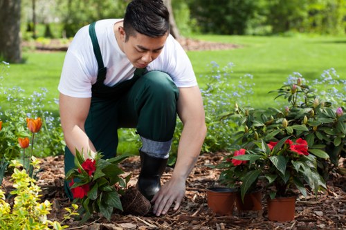 High-quality landscaping materials and tools