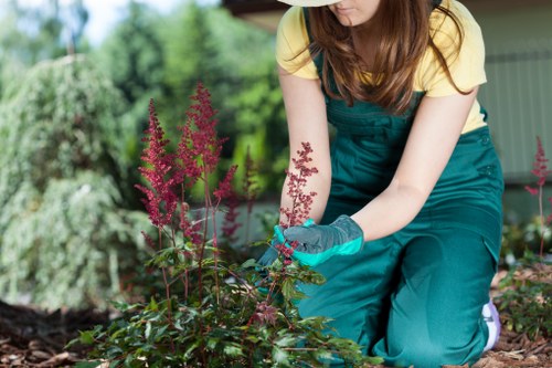 Low-maintenance garden design by landscape gardeners in Chiswick