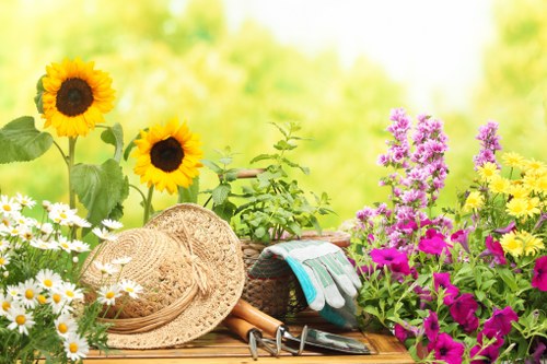 A vibrant garden scene featuring a wooden outdoor surface with a variety of blooming flowers, including white daisies with yellow centers, bright pink and purple phlox, and yellow sunflowers with large dark centers. In the foreground, a natural woven straw hat, gardening gloves, and small hand tools are arranged, indicating recent or ongoing gardening work. Behind the floral display, a lush green hedge provides a backdrop, enhancing the natural tones of the garden. The well-maintained flowers and foliage display diverse textures and colours, set against a softly blurred background that suggests a sunny day with clear weather, ideal for outdoor gardening activities. This scene captures the essence of a thriving backyard garden, typical of gardens in Chiswick, and subtly supports gardening services like lawn and plant care offered by Landscapers Chiswick.