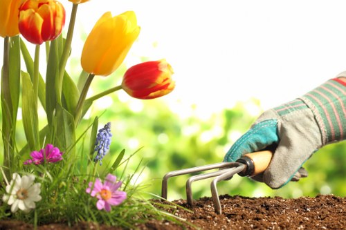 In the image, a gardener wearing a grey gardening glove with a blue trim is using a hand cultivator to turn and aerate the rich, dark soil in a garden bed. To the left, there are vibrant flowering plants, including blooms of red and yellow tulips, along with clusters of small purple and white flowers, creating a colorful contrast against the greenery. The garden appears well-maintained, with the flower bed bordered by a lush, green lawn area featuring dense grass. In the background, blurred garden foliage and trees suggest a healthy outdoor environment, typical of a landscaped garden in Chiswick. The sunlight filters gently through the surroundings, indicating a bright and pleasant day suitable for gardening tasks, reflecting professional gardening and landscaping practices that a company like Landscapers Chiswick might perform in the local area to enhance outdoor spaces.