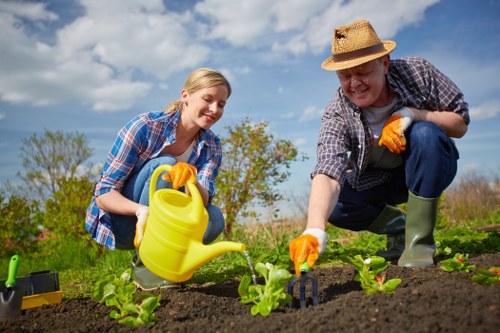 A man and a woman working together in a well-maintained garden, planting small green leafy plants in neatly prepared dark soil. The woman, wearing a blue plaid shirt and yellow gardening gloves, is holding a yellow watering can and watering the new plants. The man, dressed in a checked shirt, straw hat, and green rubber boots, is using a small hand rake to tend to the soil around the plants. In the background, there is a lush green landscape with a clear blue sky, a few white clouds, and trees. The garden features a grassy lawn at the edge of the planting bed, with a wooden fence partially visible beyond. The scene is brightly lit, indicating a sunny day in Chiswick, and reflects outdoor gardening activity supported by local gardening services at landscaperschiswick.co.uk.