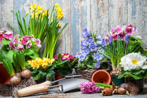 A collection of potted spring-blooming plants arranged on a rustic wooden surface against a weathered wooden background. The plants include yellow daffodils with long green leaves, pink primroses, purple and blue hyacinths, and white primroses, each planted in various terracotta and woven baskets. In front of the pots are gardening tools such as a small trowel and a hand rake, along with some soil-bound bulbs and plant accessories, suggesting preparation for planting or garden maintenance. The scene showcases vibrant natural colours and textures typical of early outdoor gardening in the UK, highlighting a well-organised and lively gardening setup that aligns with professional landscape and garden care services provided by Landscapers Chiswick in the W4 area.