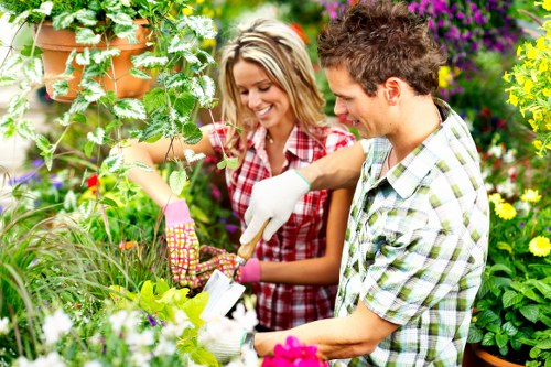 Professional landscaper designing a Chiswick garden